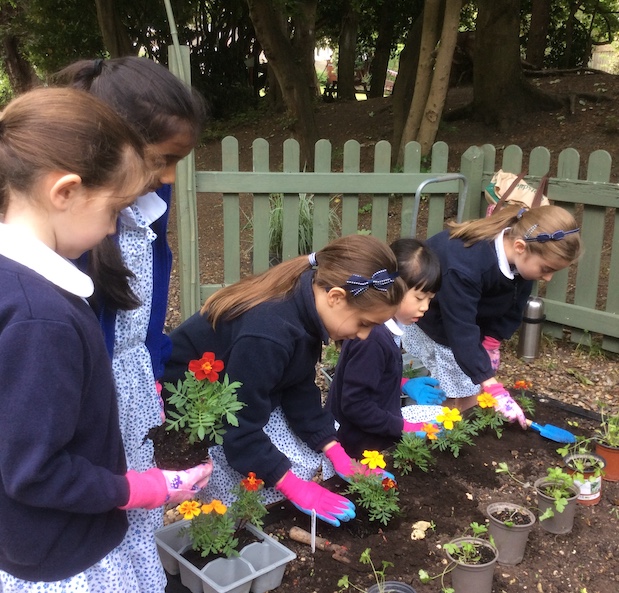 Outdoor learning in action